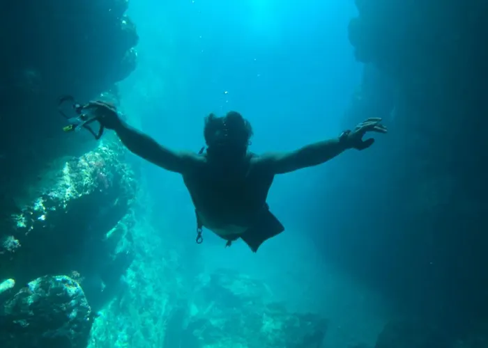 De La Madrague Vue A 200m De La Sur La Presqu' Ile De Giens Sea And Mountain Pleasure * Hyères