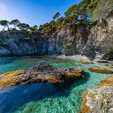 De La Madrague Vue A 200m De La Sur La Presqu' Ile De Giens Sea And Mountain Pleasure Вилла Йер