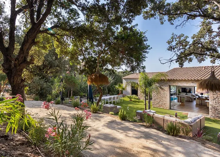 De La Madrague Vue à 200m De La Sur La Presqu' île De Giens Sea&mountain Pleasure Villa Hyères